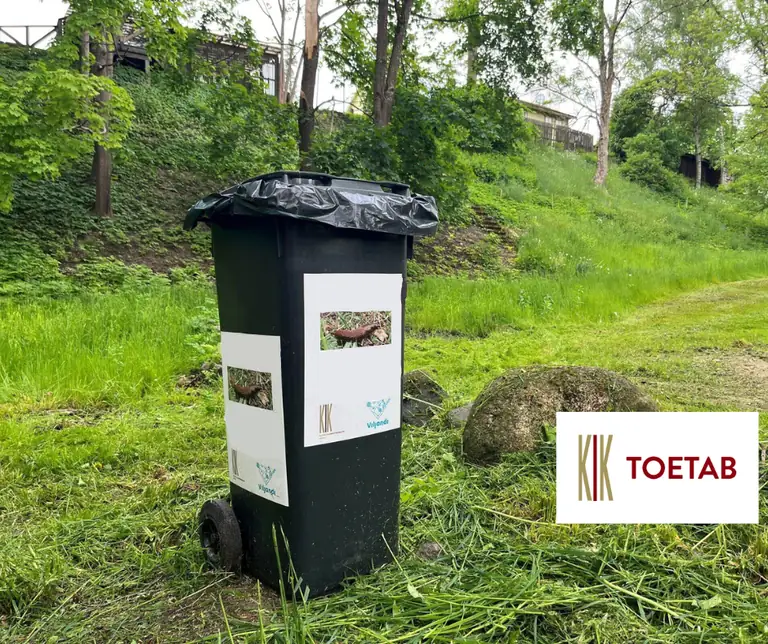 Viljandi avas teetigude kogumiskohad aednikele