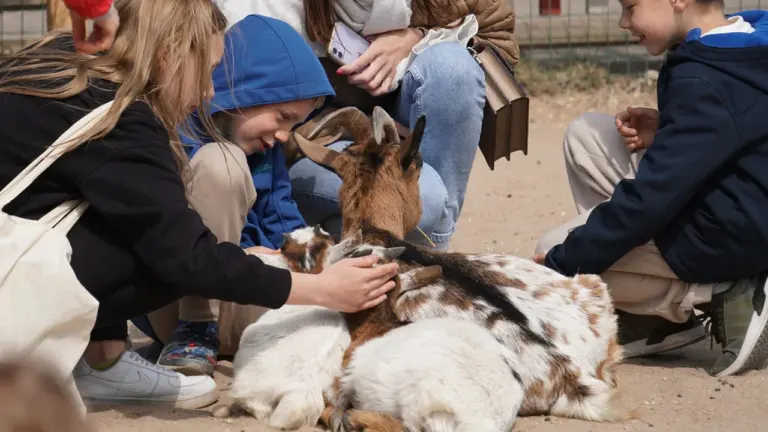 Linnalaager „Loomaaia elu” Tallinn Zoo’s, 19. august 2026 (10:00–14:00) – 30 €