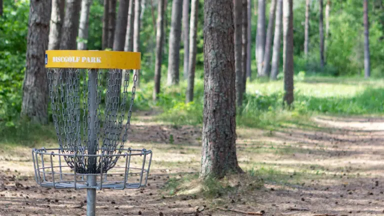 Mängude päev Aravul: discgolf ja lauamängud 20. augustil