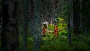 Uurali händkakk istumas rohelisel metsaalusel Eestis, taustal on hägused puud ja looduslik keskkond.